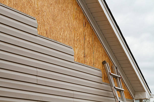 Professional Siding Repair technician working in Hebron, MD